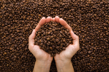 Young adult woman opened palms holding heap of fresh dark brown coffee beans. Closeup. Point of view shot. Top down view.