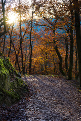 Herbstsonne