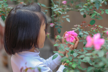 Naklejka premium Happy little girl holding a pink rose in the garden