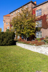 Obraz premium Krakow, Poland - October 25, 2021: Wawel Royal Castle on a sunny autumn day, facade of building with colorful leaves of wild wine creeper