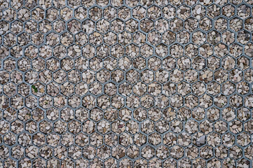 Gravel covered path fragment in plastic cells as honeycombs. Background for design