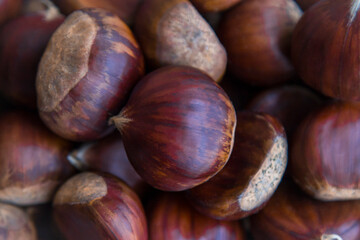 group of fresh organic chestnuts