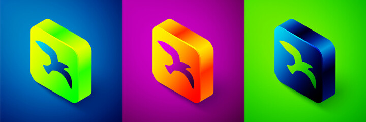 Isometric Bird seagull icon isolated on blue, purple and green background. Square button. Vector