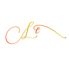 latter is vector symbol design file