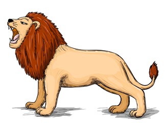 Illustration of lion cartoon