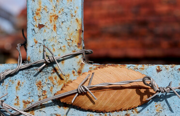 old rusty barbed wire fence