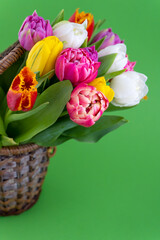 Mix of spring tulips flowers. Background with flowers tulips close-up different colors. Multi-colored spring flower. Gift. Red, pink, white and yellow. Bouquet in a basket. Vase.