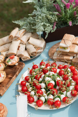 Catering in the outdoor summer park
