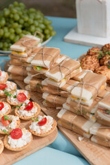 Catering in the outdoor summer park