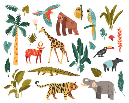 Jungle Habitat Icon Set
