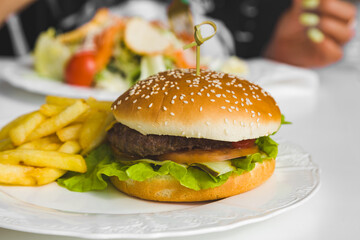 hamburger or cheeseburger with fries on a plate