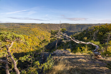 Viewpoint over valley and colorful autumn forests