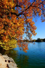 Fantastic colors of fall contrasting with the blue of a lake in a park of Lyon, France