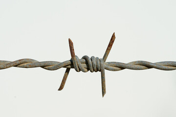 Barbed wire isolated on white