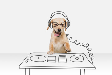 Artwork. One cute breed dog in image of disco dj isolated on white studio background with drawings....