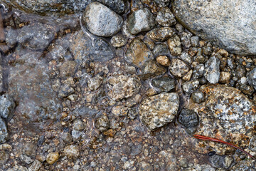 Granite stones texture in a stream