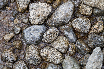 Granite stones texture in a stream