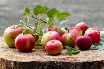 Freshly picked natural red apples