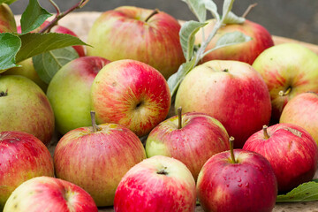 Freshly picked natural red apples