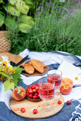 Set for picnic on blanket in lavender field