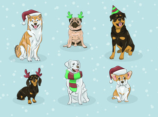 Set of dogs wearing different Christmas outfits: santa's hat, deer's antlers, scarf, cone.