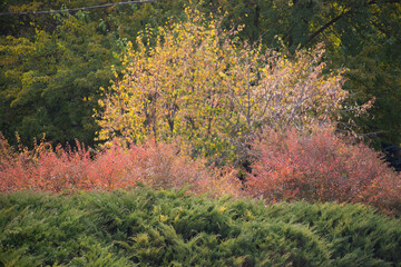 autumn in the mountains