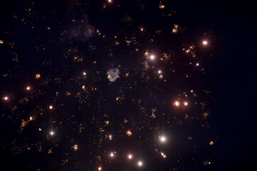 Fireworks in the sky