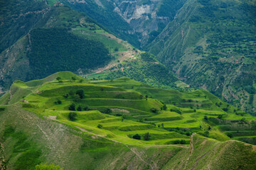 Fototapeta premium Man-made terraces of the village Chokh. Republic of Dagestan, Russia.
