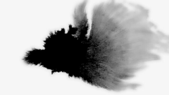 Ink bloom. Beautiful black watercolor ink drops