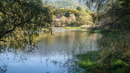 Beautiful scenery in the park