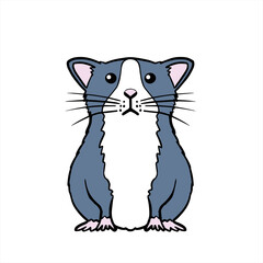 Fancy Rat　ファンシーラット