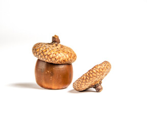 
delicious ripe hazelnut on green white background
