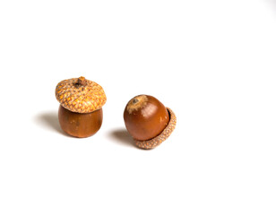 
delicious ripe hazelnut on green white background