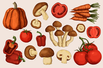 Fresh organic vegetable collection vector