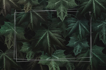 Rectangle gold frame on hand drawn green maple leaf patterned background vector