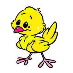 Little yellow canary character bird illustration cartoon