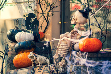 Halloween background with orange, black and white halloween pumpkins, skeleton of man and dog, grave with the word RIP and cobwebs