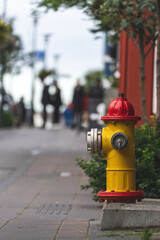A yellow and red fire hydrant in a city 