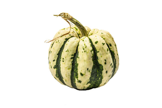Ripe green pumpkin isolated on white background