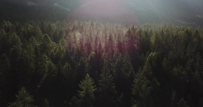 misty morning sunlight over highest mountain peak of germany, zugspitze mountains, drone perspective of fog and colourful green trees