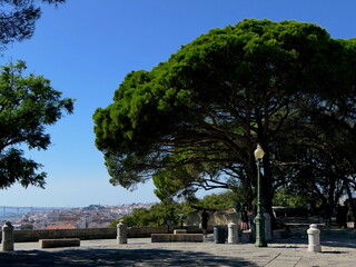 Auf dem Castelo Sao Jorge in Lissabon