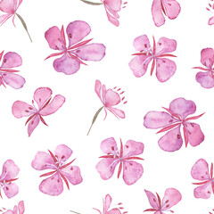 Seamless pattern of pink willowherb flowers on white background. Watercolor hand drawing illustration. Chamaenerion angustifolium.