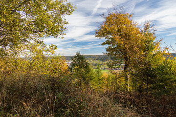 Fototapeta na wymiar autumn landscape with trees and clouds