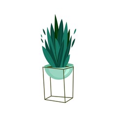 Sansevieria houseplant in a pot. Vector illustration in flat style.