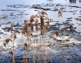 Melting snow in spring on the lake