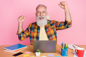 Portrait of attractive cheerful lucky grey-haired man learning web celebrating quarantine isolated...