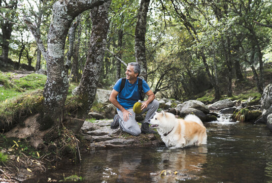 Smiling mature man by Akita dog in water at forest