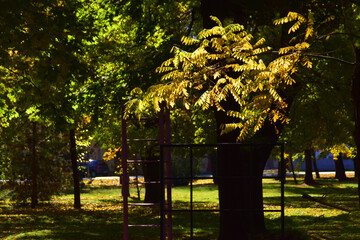 Autumn in Karadjordjev Park Zrenjanin Serbia