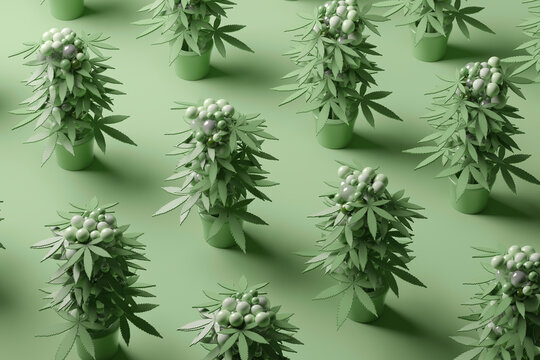 Three dimensional pattern of potted cannabis plants standing against green background