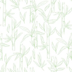 Fototapeta na wymiar Green bamboo seamless pattern on a white background. Bamboo grass, hand sketch. Botanical natural template for fabric, wallpaper and packaging, vector illustration.